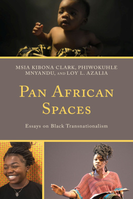 Clark Msia Kibona - Pan African Spaces