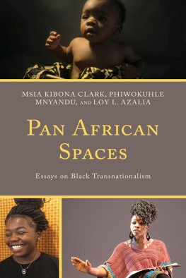 Clark Msia Kibona Pan African Spaces