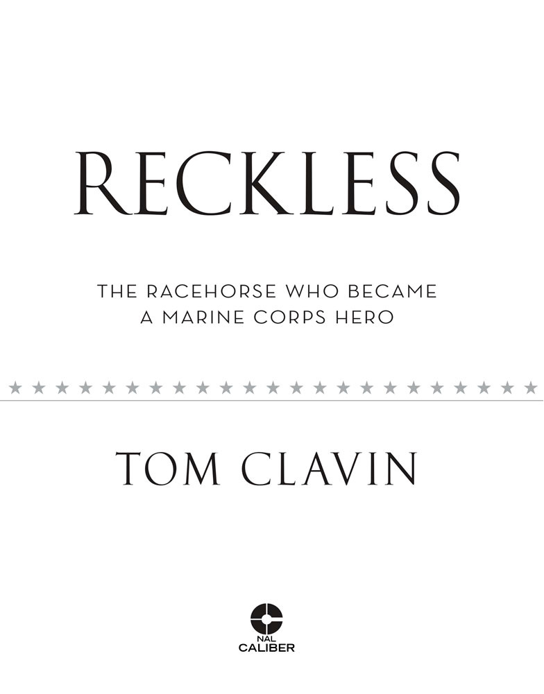 Reckless the racehorse who became a Marine Corps hero - image 2