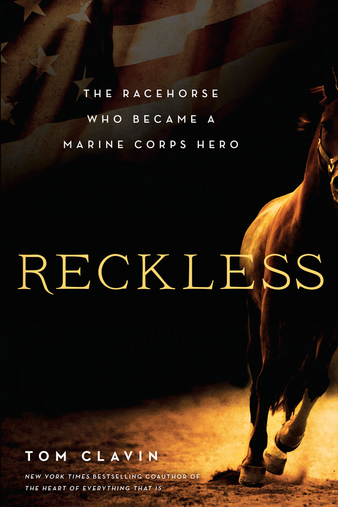 Reckless the racehorse who became a Marine Corps hero - image 1