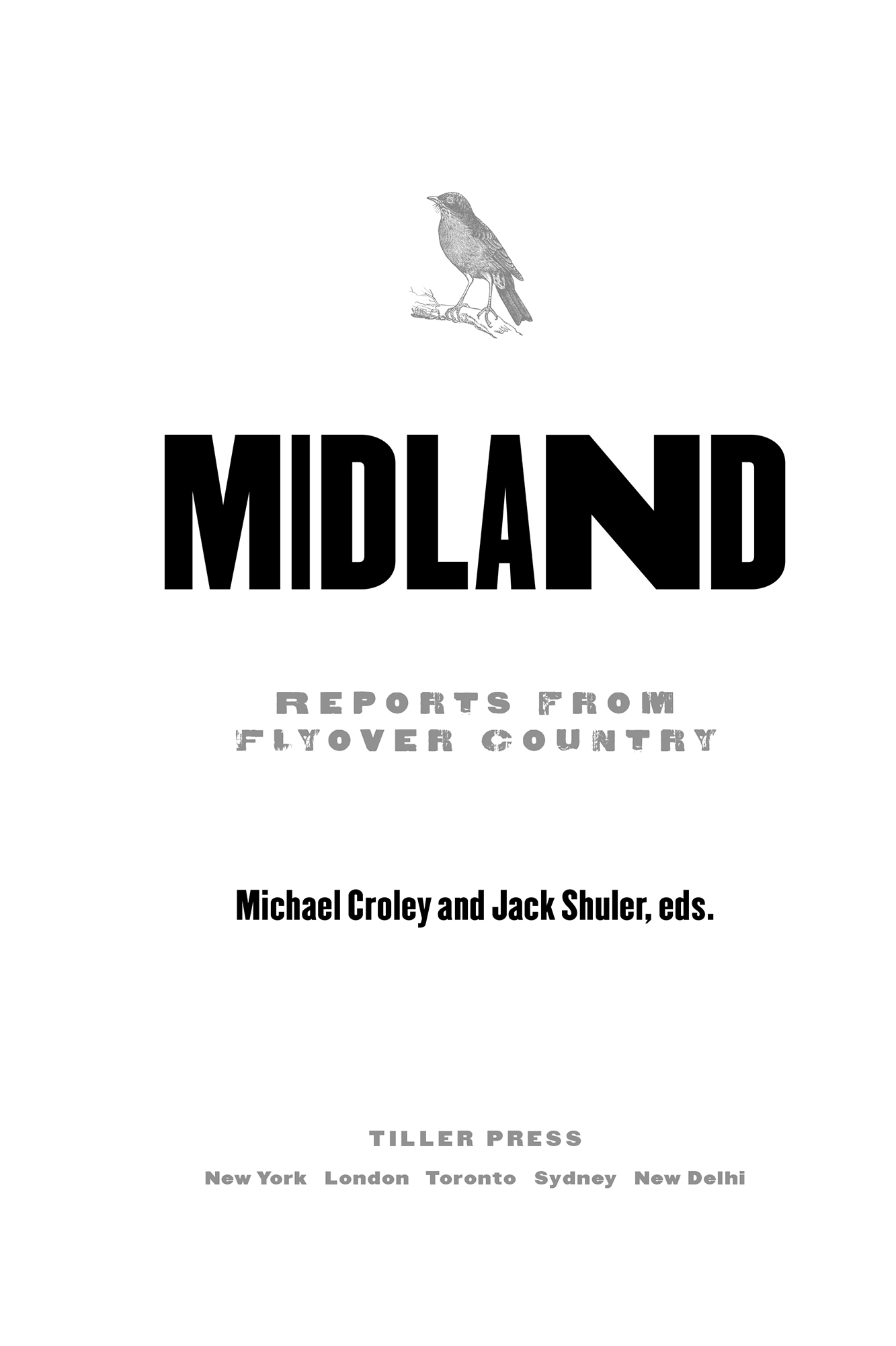 Midland Reports from Flyover Country - image 2