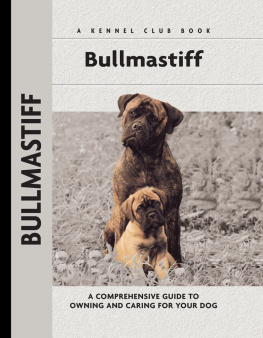 Cunliffe - Bullmastiff