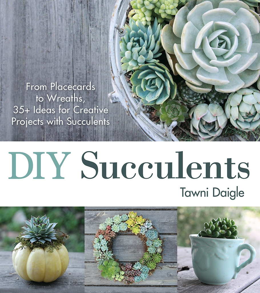 DIY Succulents From Placecards to Wreaths 35 Ideas for Creative Projects with - photo 1