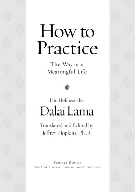 Dalai Lama XIV Bstan-ʼdzin-rgya-mtsho - How to practice: the way to a meaningful life