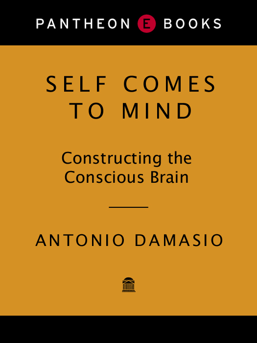 ALSO BY ANTONIO DAMASIO Descartes Error Emotion Reason and the Human - photo 1