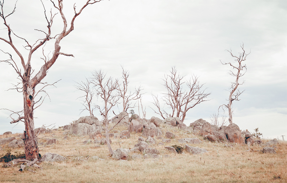 Will was a country kid growing up on a grazing property in Armidale in - photo 9