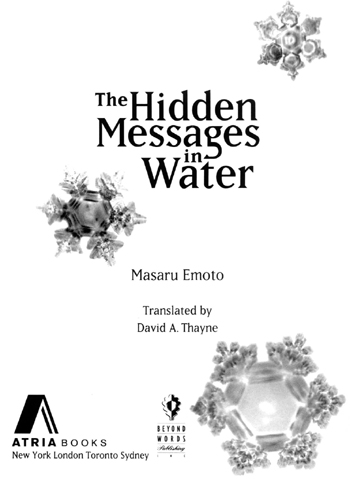 The Hidden Messages in Water - image 3