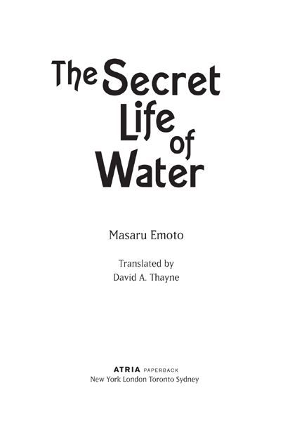 The Secret Life of Water - image 2