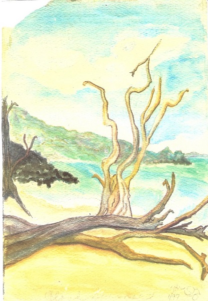 WATERCOLOR Cloud Spinner Paia Bay Maui Hawaii MOTHER Mother I remember - photo 2