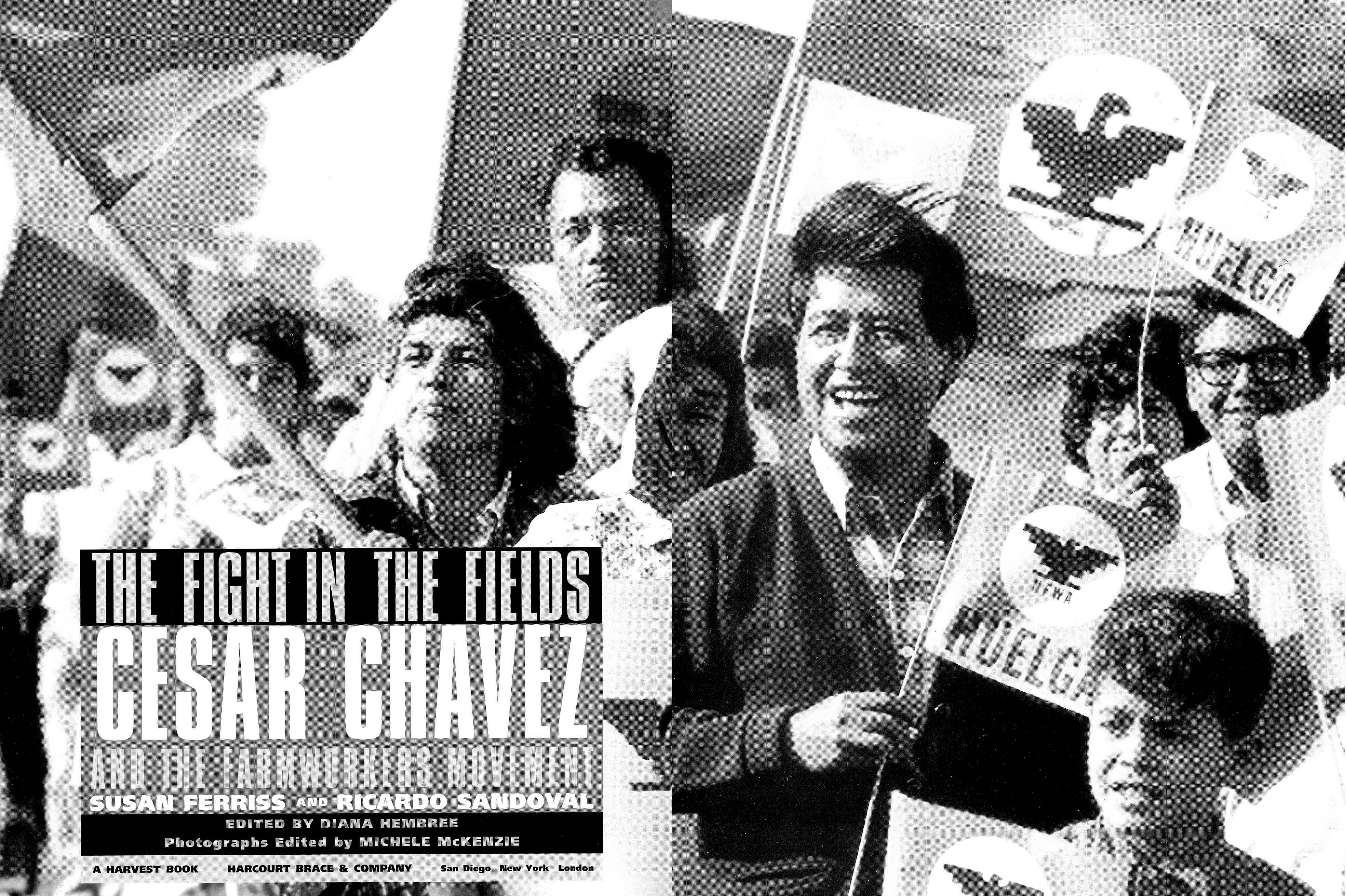 THE FIGHT IN THE FIELDS CESAR CHAVEZ AND THE FARMWORKERS MOVEMENT SUSAN - photo 1