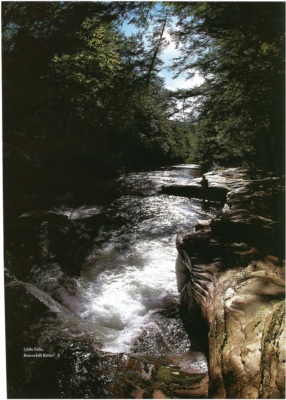 Little Falls Beaverkill River - photo 12