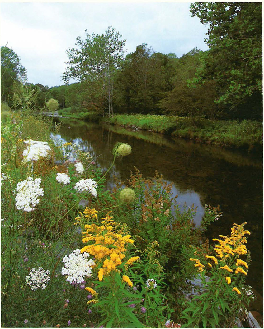 Enricos Zen Quartet Along the Beaverkill where I have fished for thirty-six - photo 14