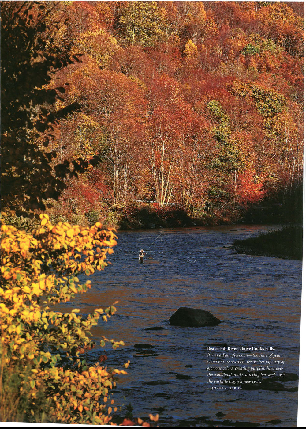 Beaverkill River above Cooks Falls It was a Fall afternoonthe time of year - photo 19