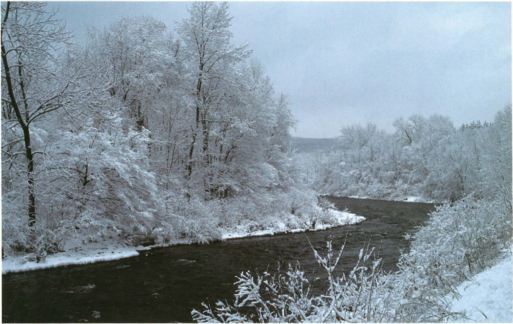 Lower Beaverkill River Photograph by Kris Lee Long Eddy Delaware River - photo 6