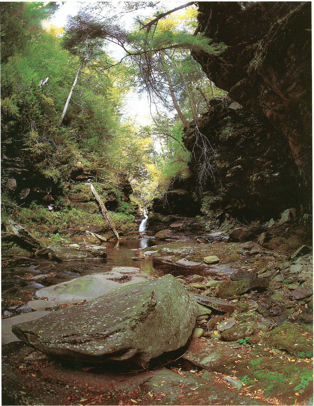 Peekamoose Gorge Rondout Creek Then steal up the little gorge and sit at - photo 10