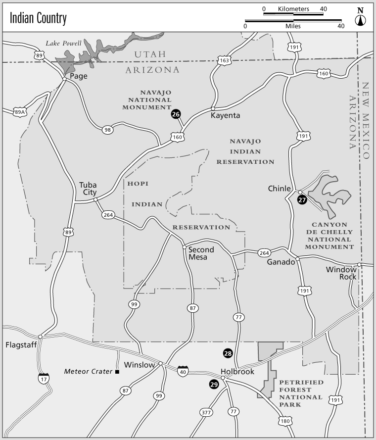 Mule deer are found from the bottom of the Grand Canyon to the highest - photo 1