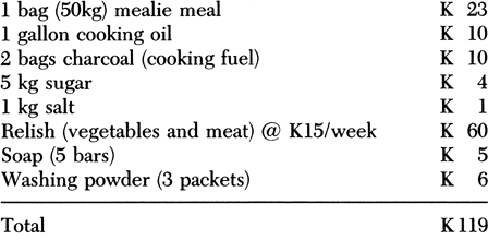 This budget for a minim um of necessities allows no discretionary expenses - photo 2