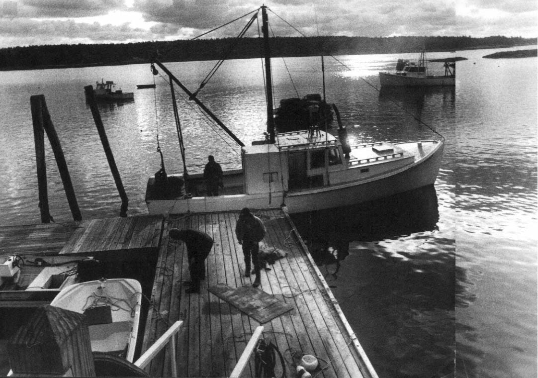 Page iii Up River The Story of a Maine Fishing Community Olive - photo 2