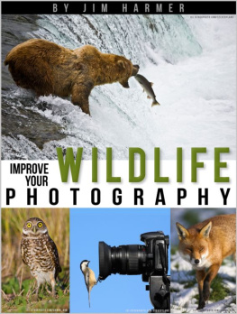 Harmer Improve Your Wildlife Photography