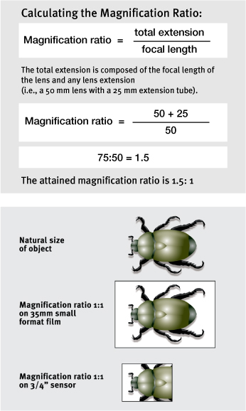 The magnification ratio is completely independent of the camera format - photo 5