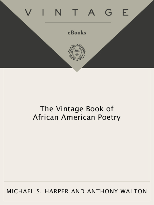 MICHAEL S HARPER and ANTHONY WALTON The Vintage Book of African American - photo 1