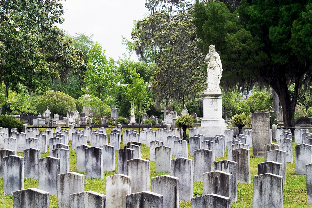 DNDAVISSHUTTERSTOCK Charleston Savannah Top Sights Charlestons most - photo 12