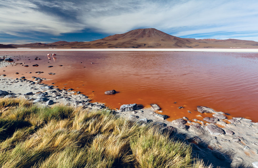 Laguna Colorada Los Lpez FABIANGETTY IMAGES Adventure Every second of - photo 4