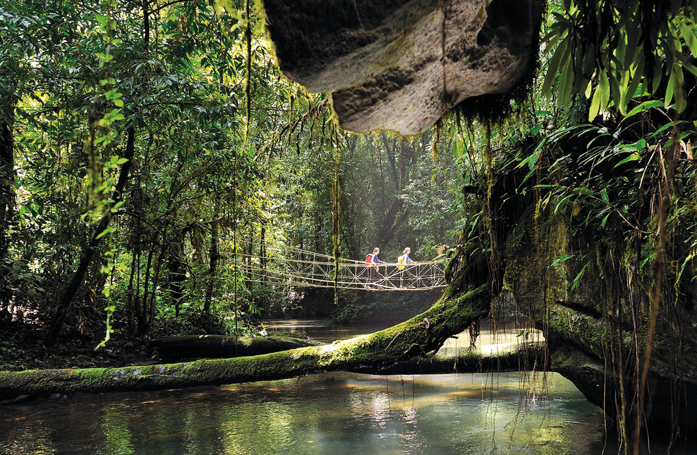 Hiking towards caves in Gunung Mulu National Park AURORA PHOTOSAWL - photo 4