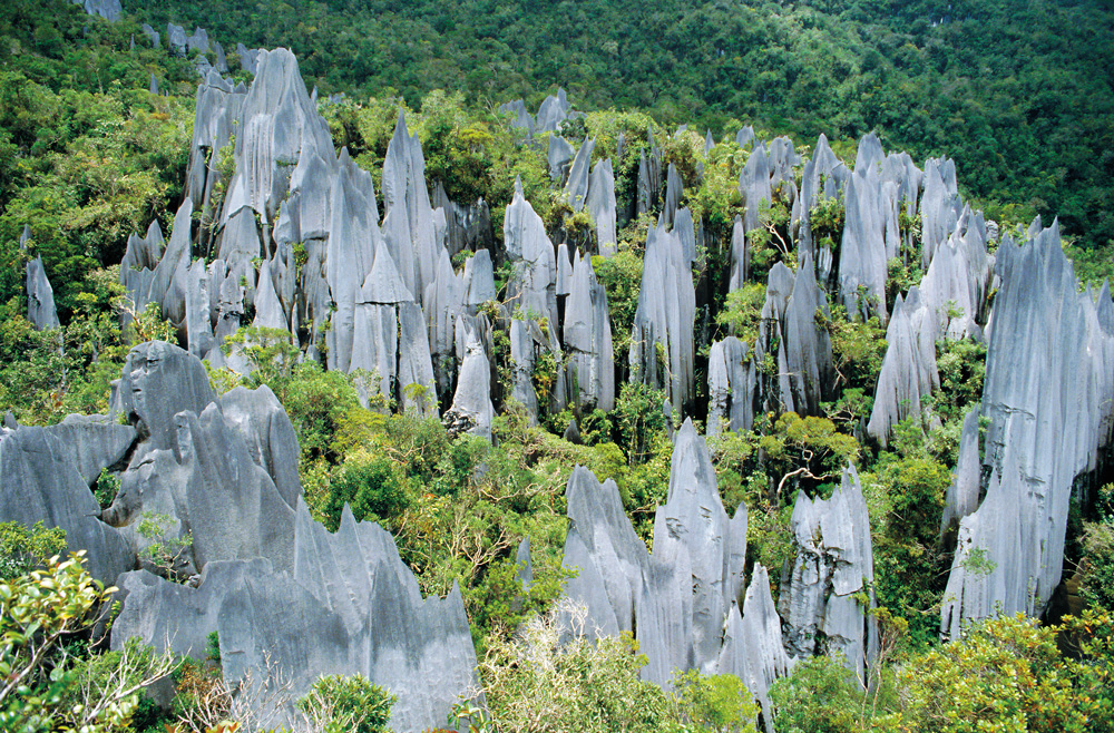 The Pinnacles Gunung Mulu National Park DAVID POOLEGETTY IMAGES Maliau - photo 6