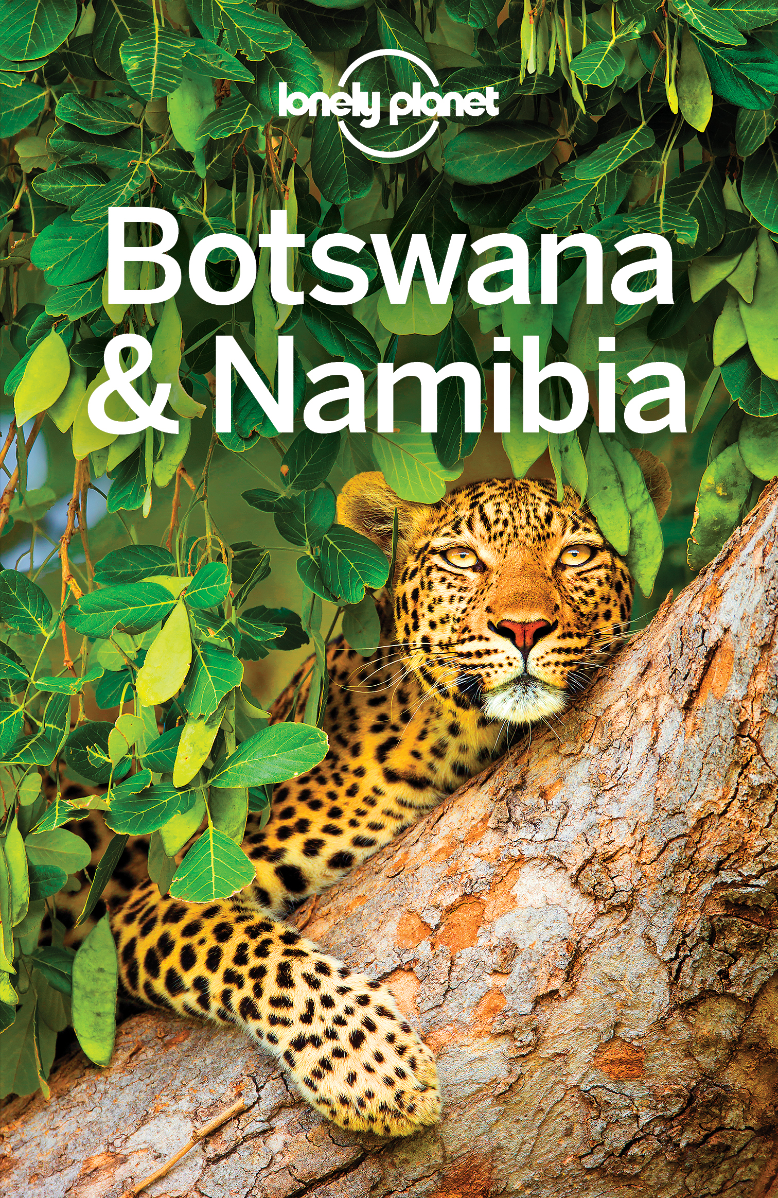 Lonely Planet Botswana Namibia - image 1