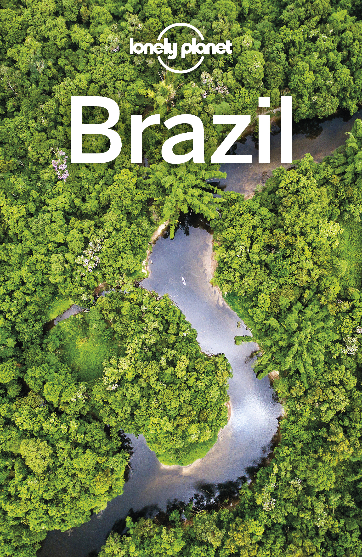 Lonely Planet Brazil - image 1