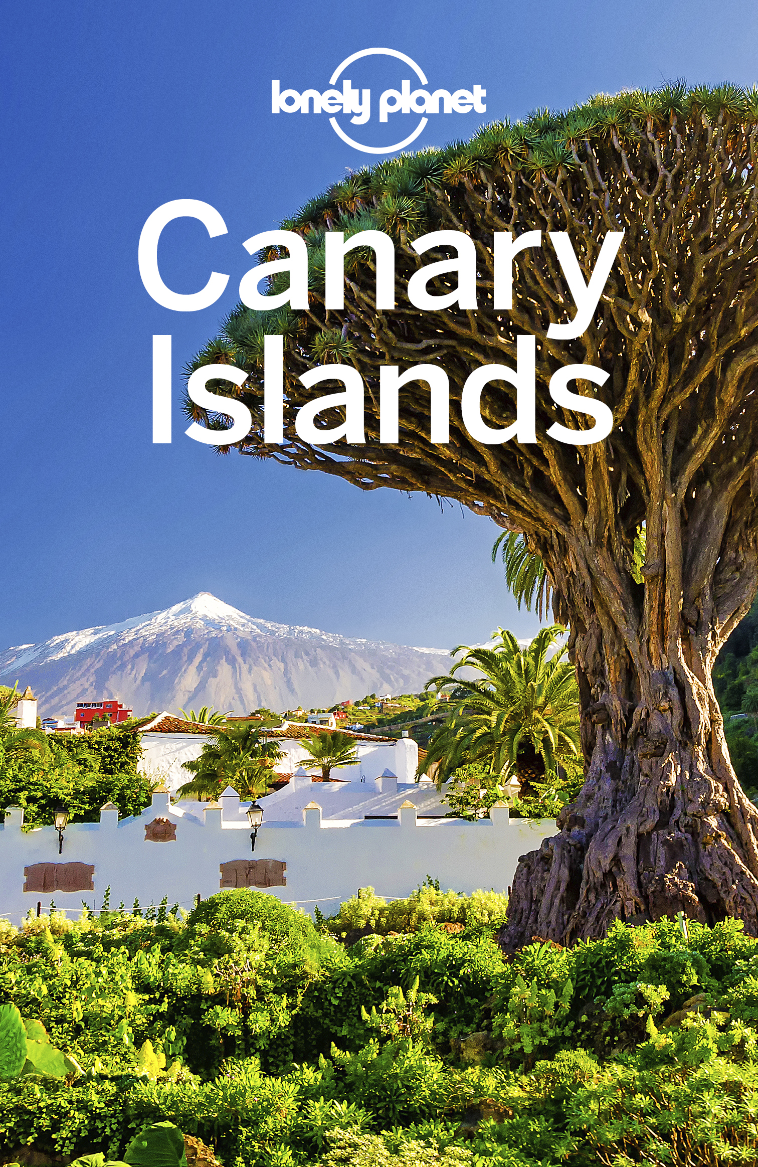 Lonely Planet Canary Islands - image 1