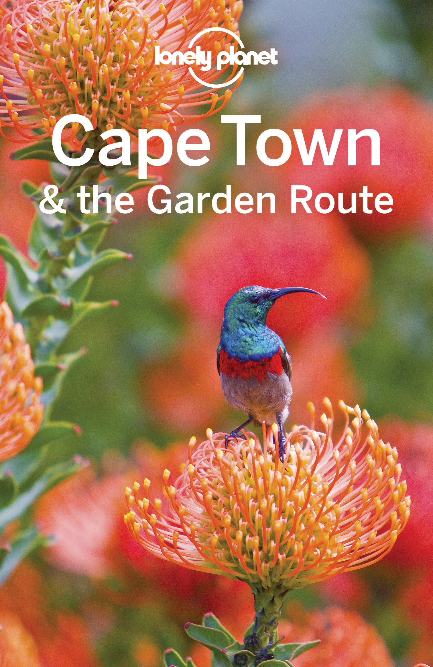 Lonely Planet Cape Town the Garden Route - image 1