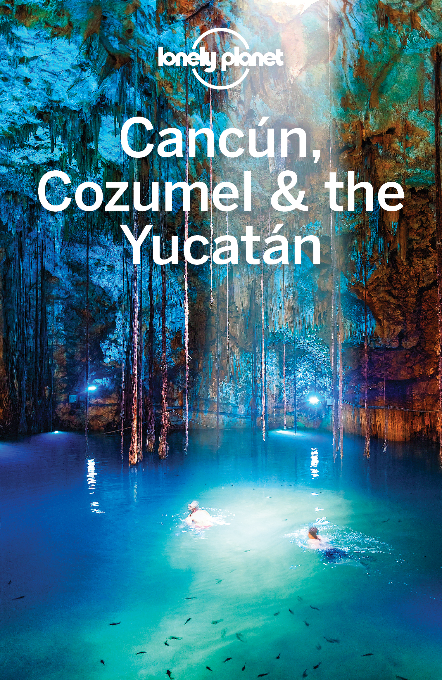 Cancun Cozumel the Yucatan Travel Guide - image 1