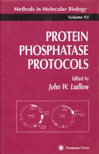 title Protein Phosphatase Protocols Methods in Molecular Biology Clifton - photo 1