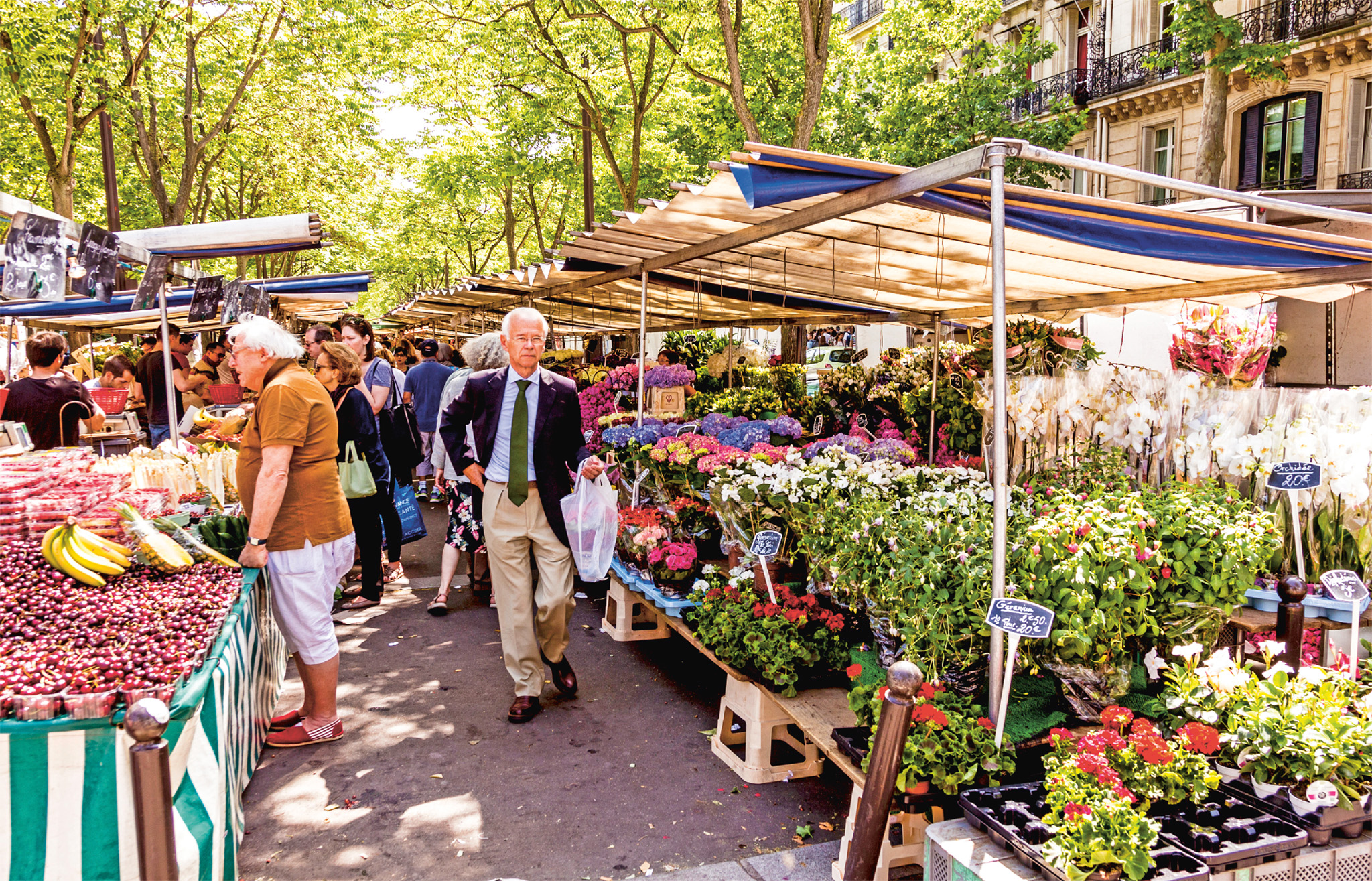 t Rain or shine the markets of France spring to life each day Bustling - photo 12