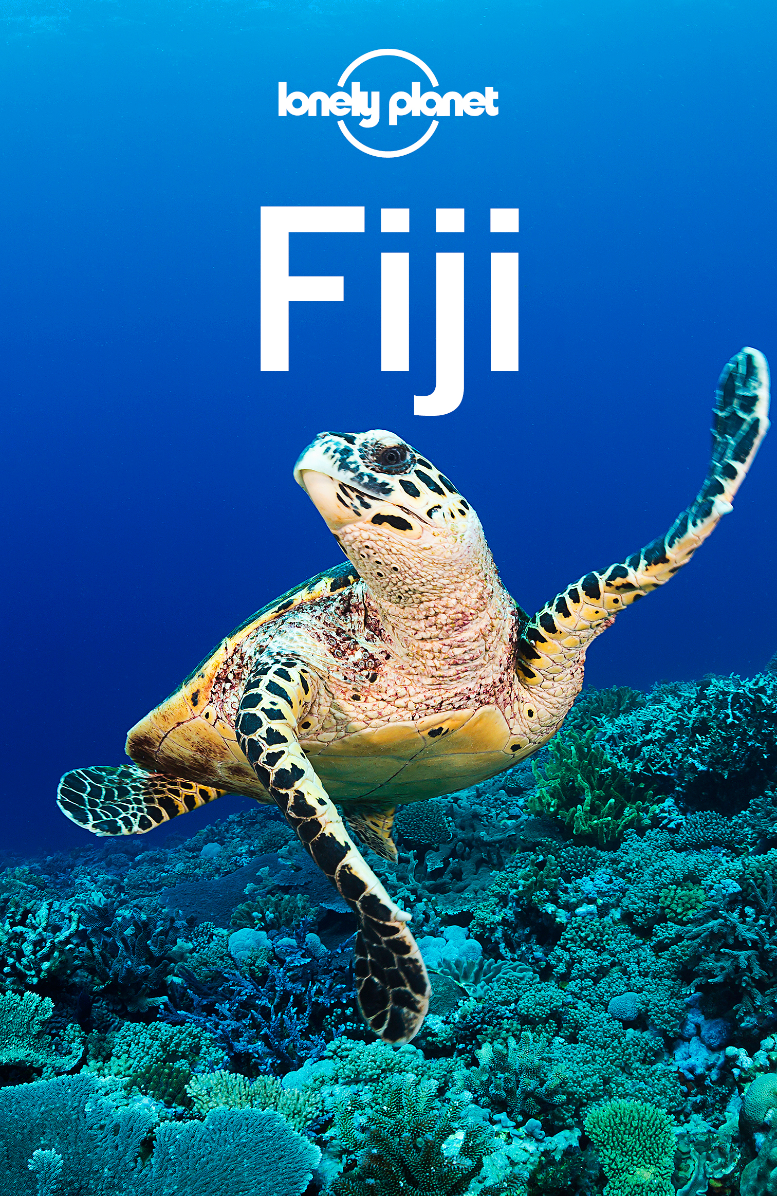 Fiji Travel Guide - image 1