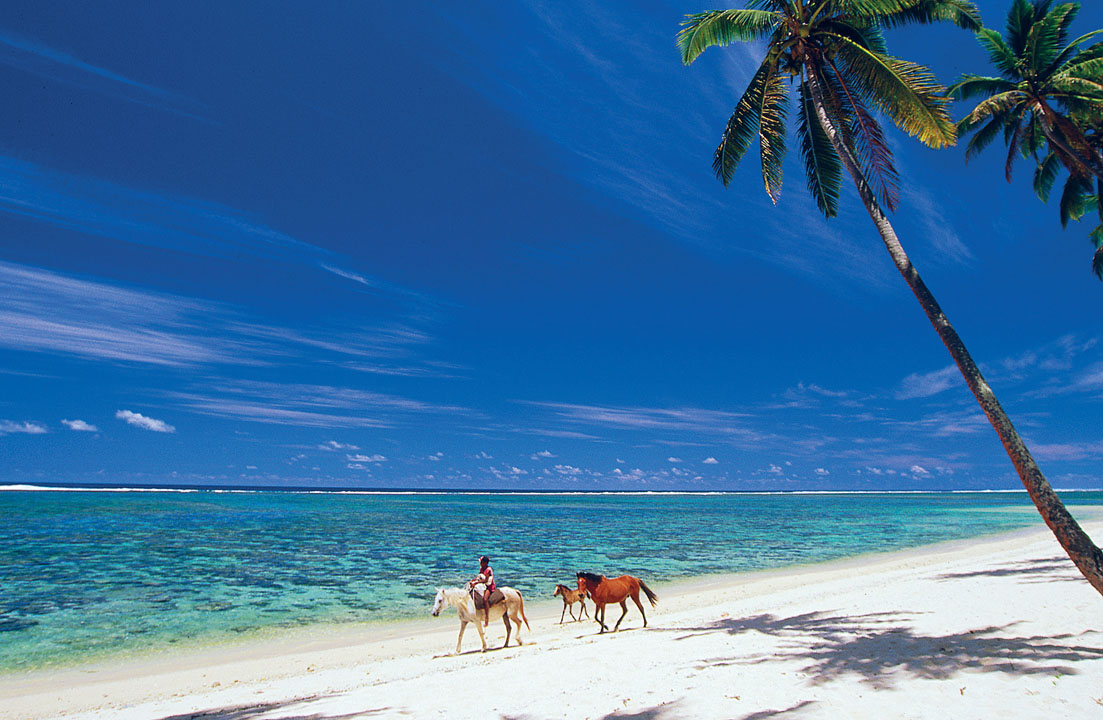 DAVID WALL LONELY PLANET IMAGES Horse riding on the Coral Coast Viti Levu - photo 4