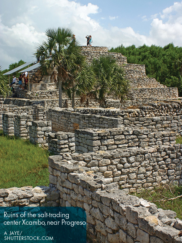 Cancn Isla Mujeres The Caribbean - photo 10