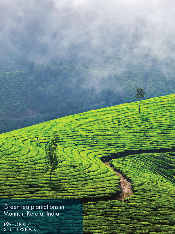 Fodors Essential India - photo 11