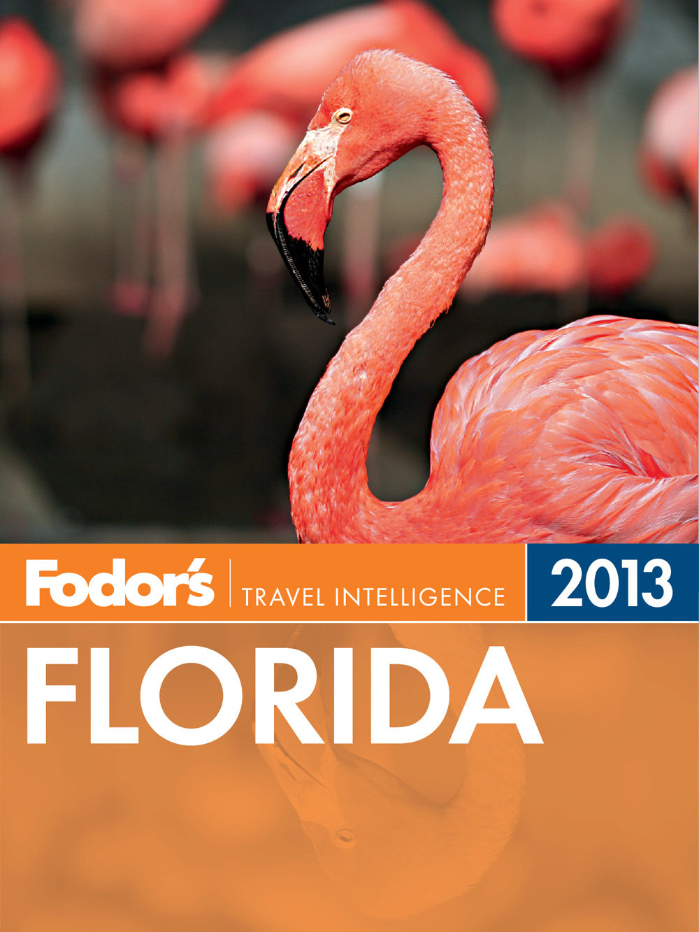 Fodors Florida 2013 - photo 1