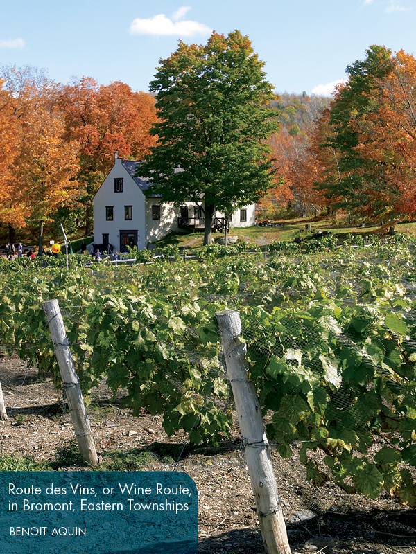 Exploring Montral Side Trips from Montreal Quebec City Side Trips from Quebec - photo 11