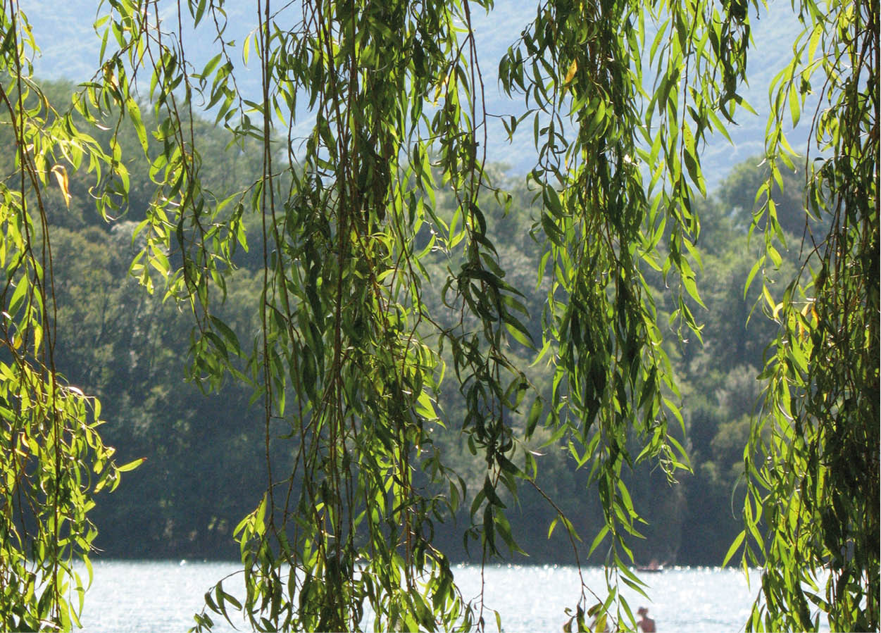 Escaping the crowds Take a dip in unspoilt Lake Mergozzo is a pretty region - photo 7