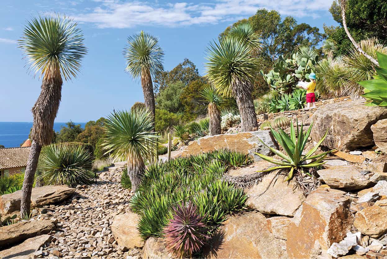 Top Attraction 5 Alamy Domaine du Rayol Mediterranean gardens overhang the - photo 8