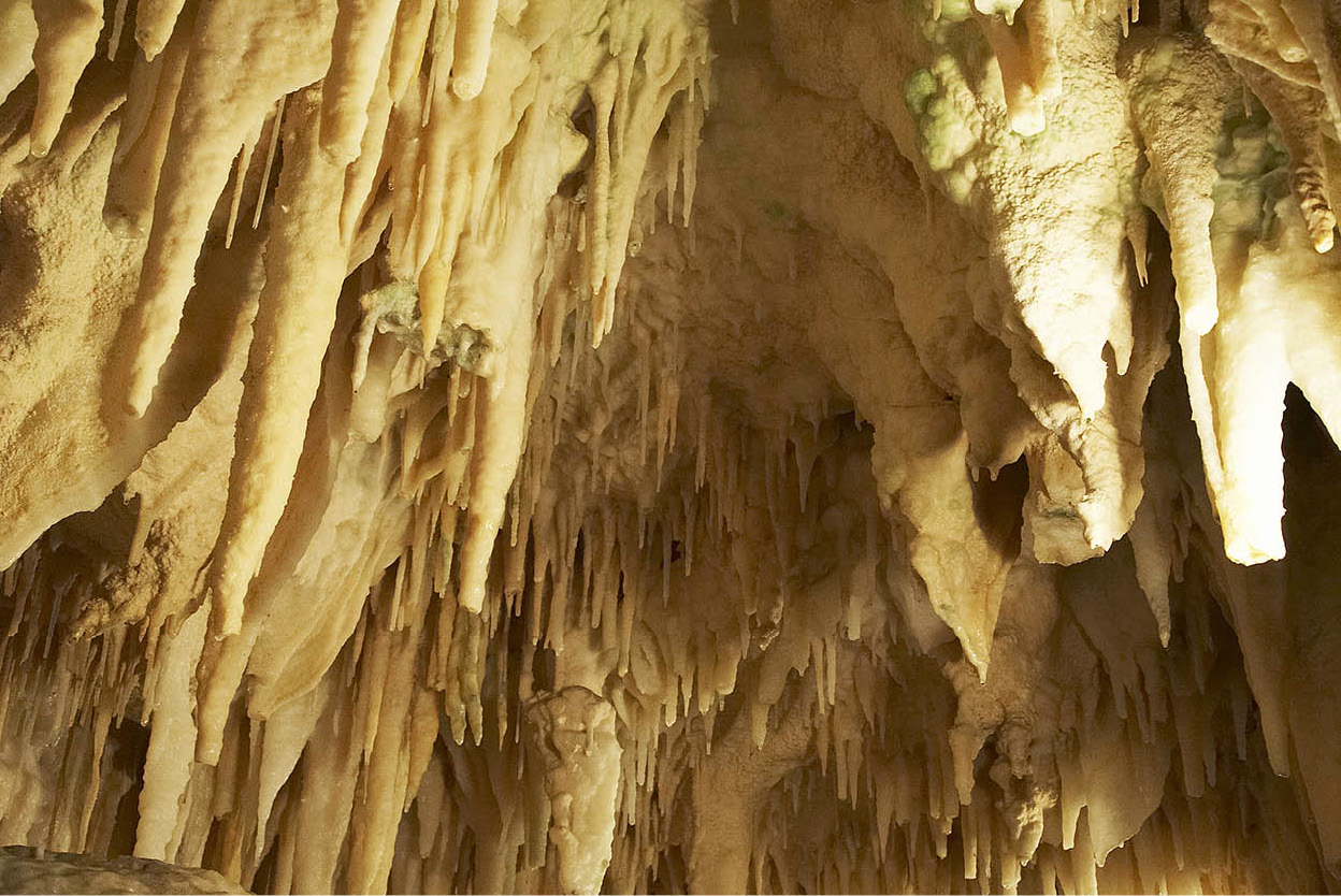 Waitomo Glow-Worm Caves the Waikato Venture underground on a guided tour to - photo 12