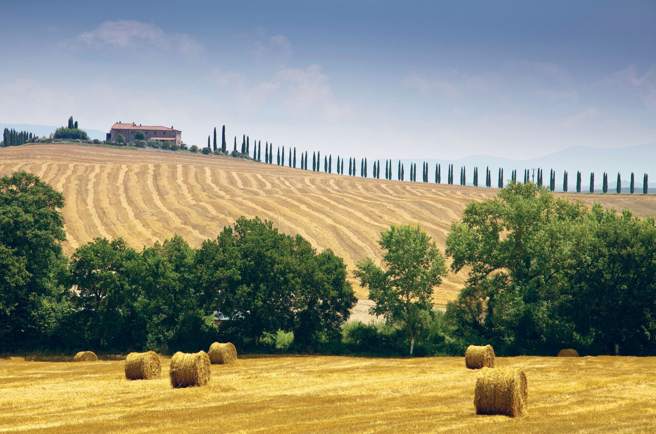 Tuscany Landscapes of rolling hills golden fields and snaking lines of cypress - photo 4