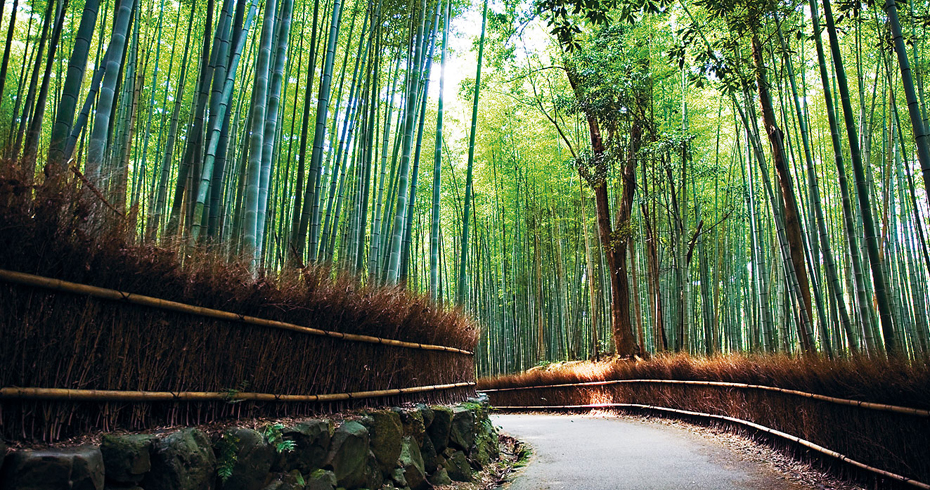 RACHEL LEWIS LONELY PLANET IMAGES Kyoto Imperial Palace Park Home to - photo 10