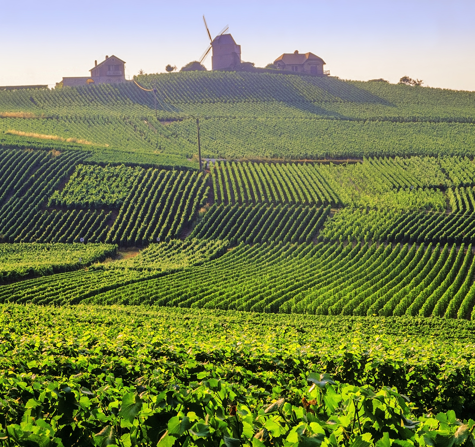 Kodachrome25Getty Images Top Experiences Alsatian Wine Route It is one of - photo 7