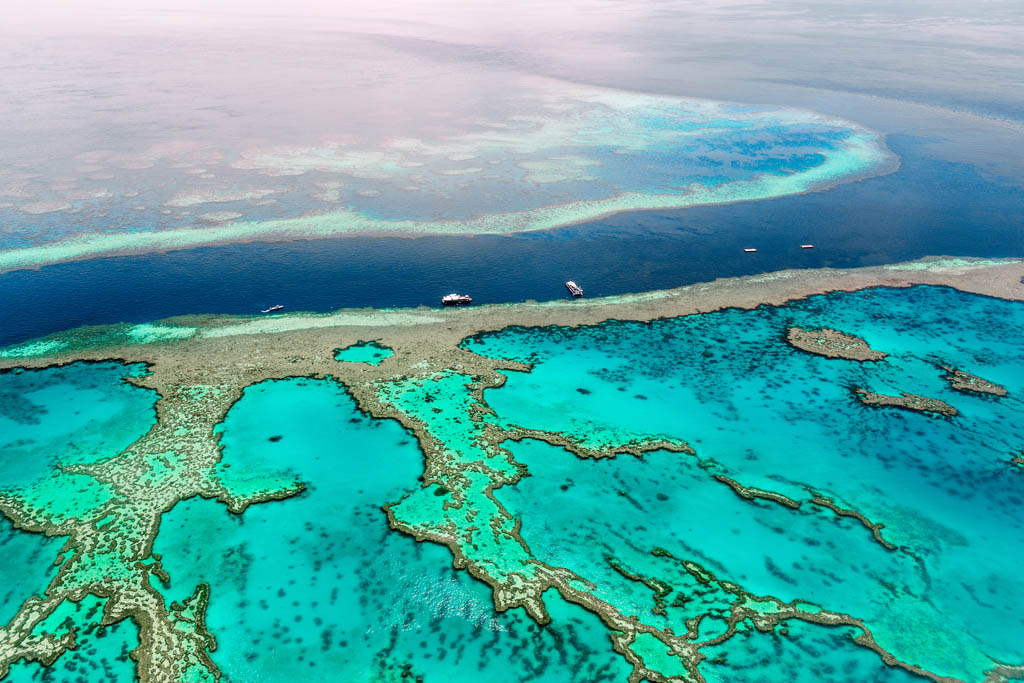 Great Barrier Reef 2000 miles of breathtaking marine-life encounters - photo 7