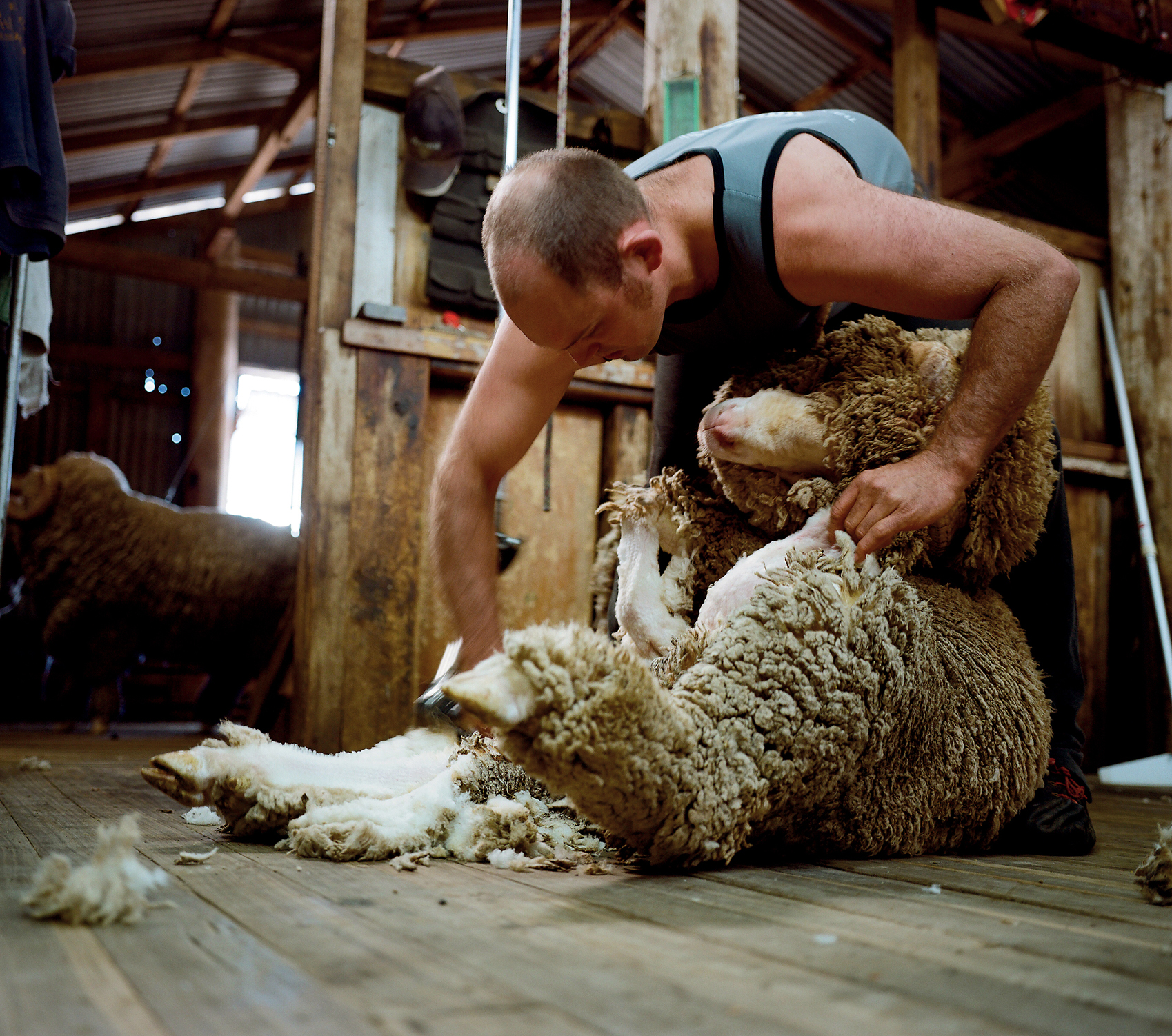 Kentucky Rural life in New England Michael Hall Getty Images Jervis Bay - photo 27